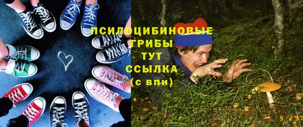 твердый Алексеевка