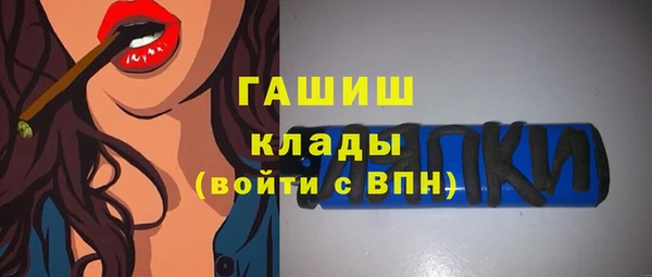 индика Абаза