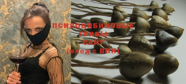 индика Абаза