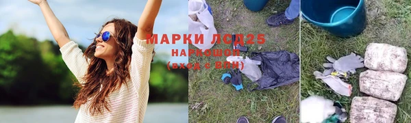 индика Абаза